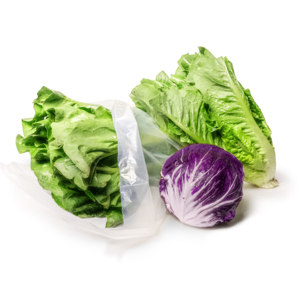 Plant-Based Packaging image