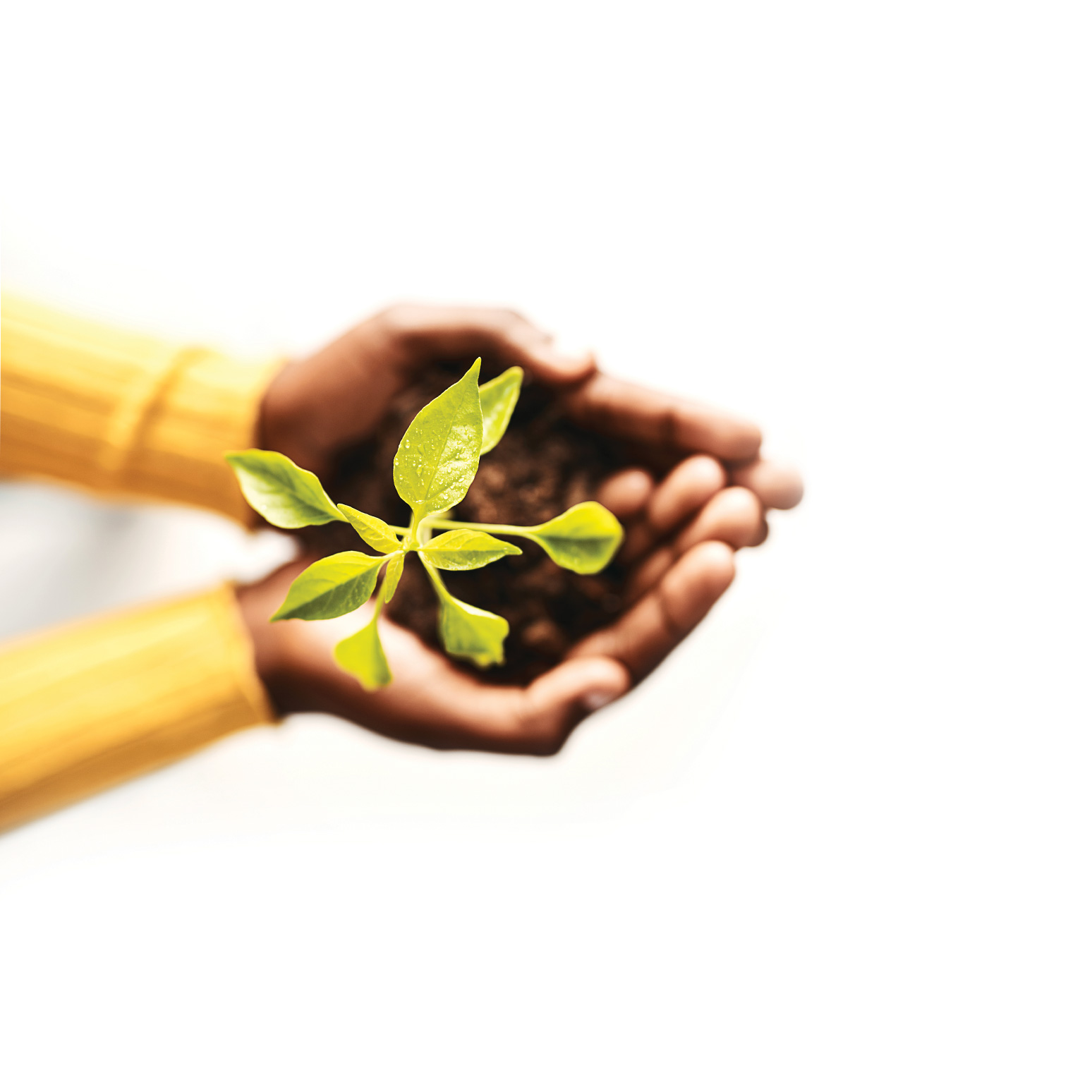 sustainability partner