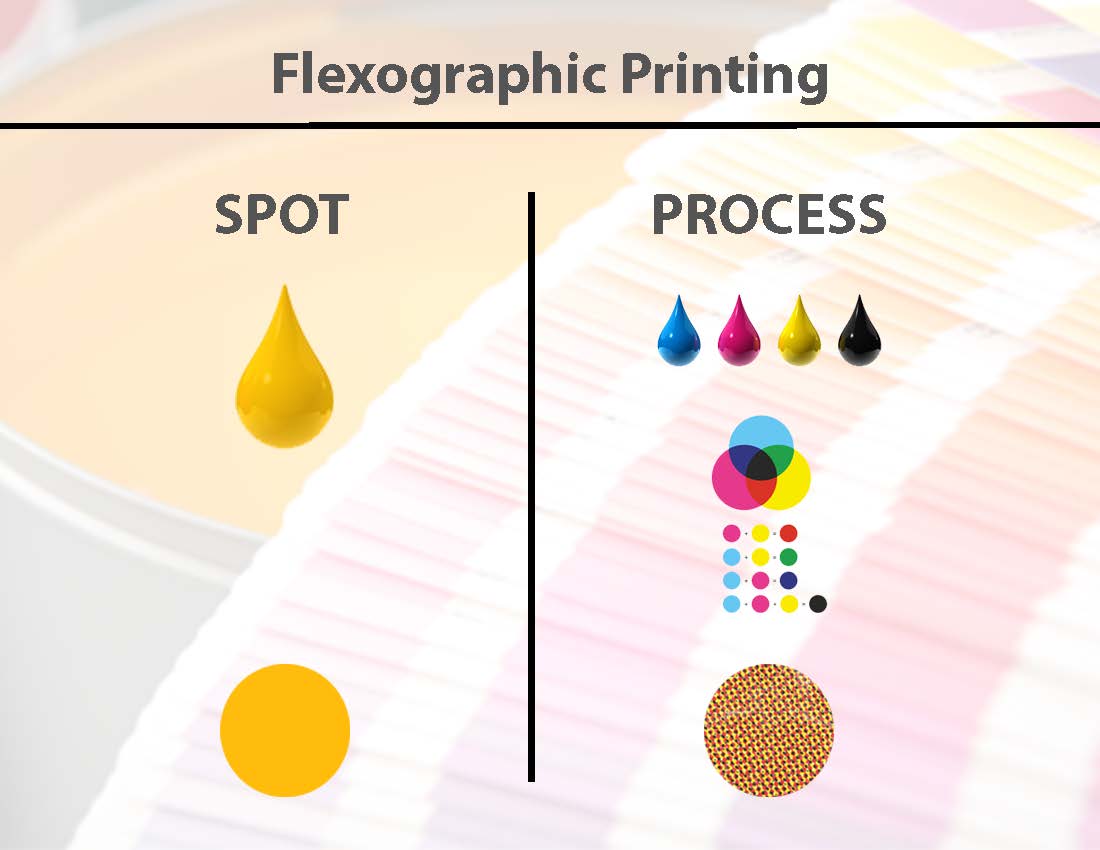 spot v process printing infographic